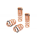 Megan Racing Lowering Springs 13-17 Honda Accord V6