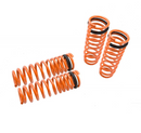 Megan Racing Lowering Springs 92-00 Honda Civic/Del Sol/ 94-01 Acura Integra
