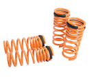 Megan Racing Lowering Springs 09-13 Infiniti G37 4Dr