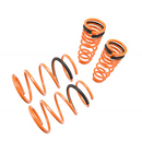 Megan Racing Lower Springs  00-03 Nissan Maxima