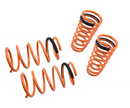 Megan Racing Lower Springs 95-99 Nissan Sentra