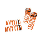 Megan Racing Lowering Springs 03-07 Honda Accord/ Acura TSX 04-08